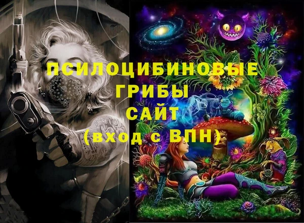 индика Алзамай