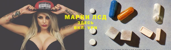 индика Алзамай