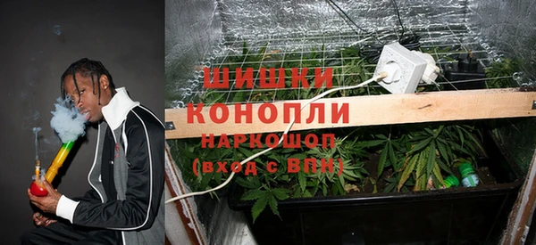 индика Алзамай
