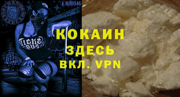 хмурый Алексин