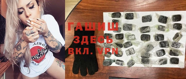 хмурый Алексин
