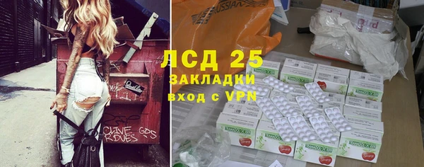 индика Алзамай