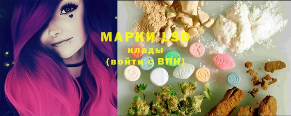 индика Алзамай