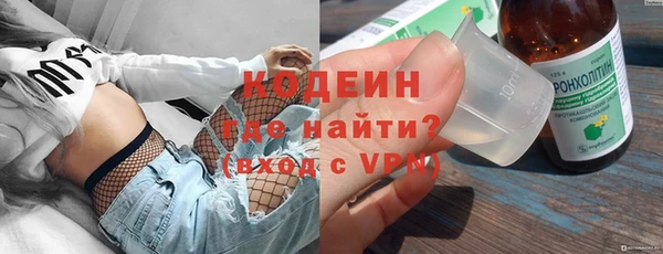 хмурый Алексин