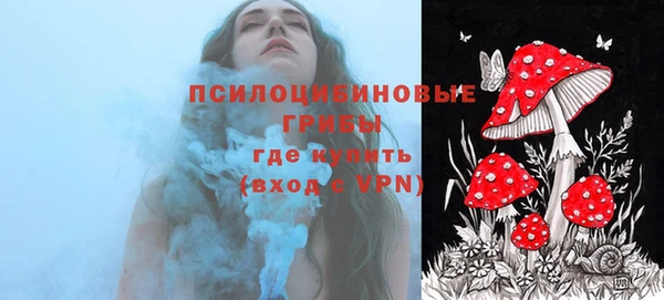 хмурый Алексин