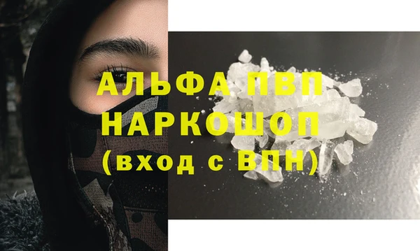 хмурый Алексин